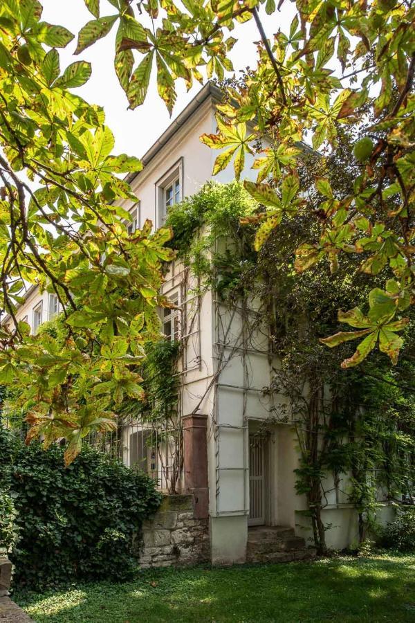 Ferienwohnung Am Dom Naumburg  Exteriör bild