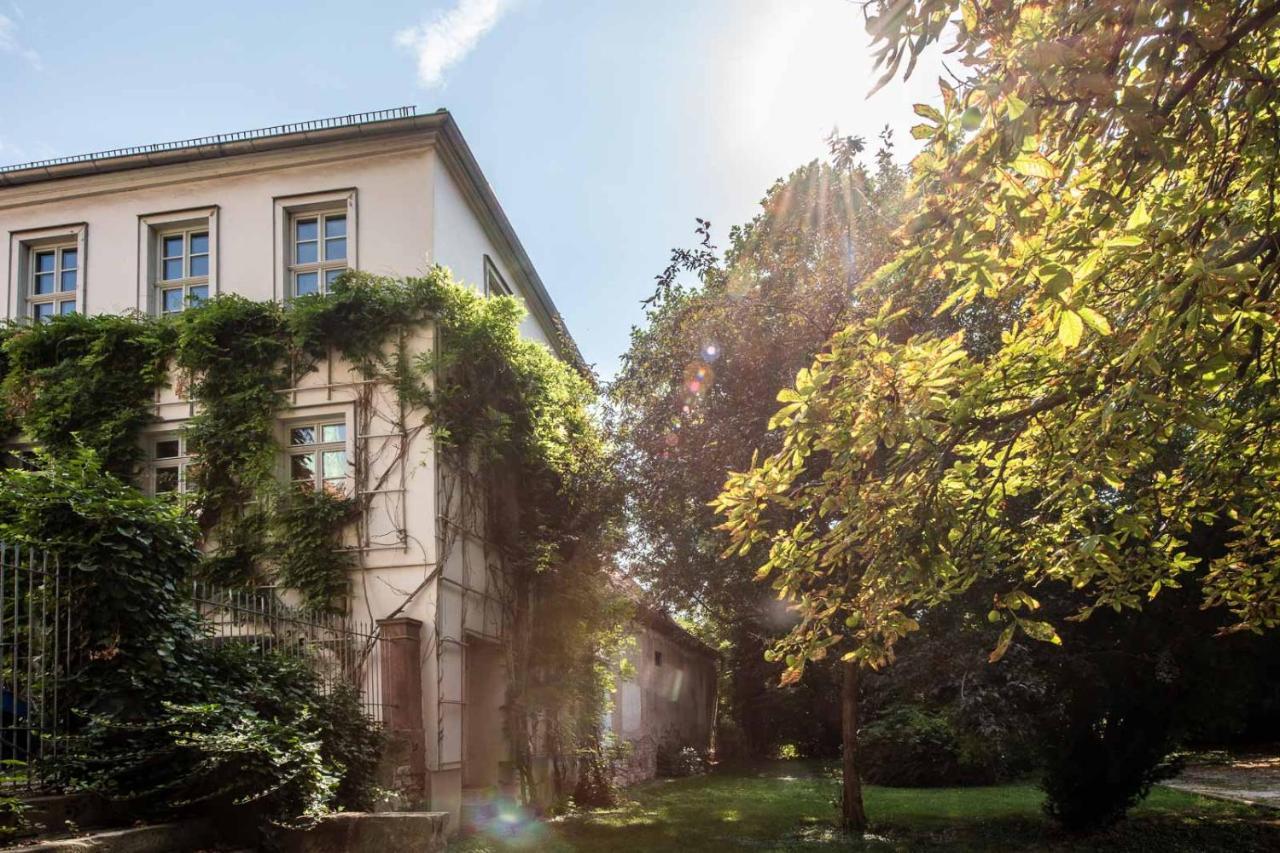 Ferienwohnung Am Dom Naumburg  Exteriör bild