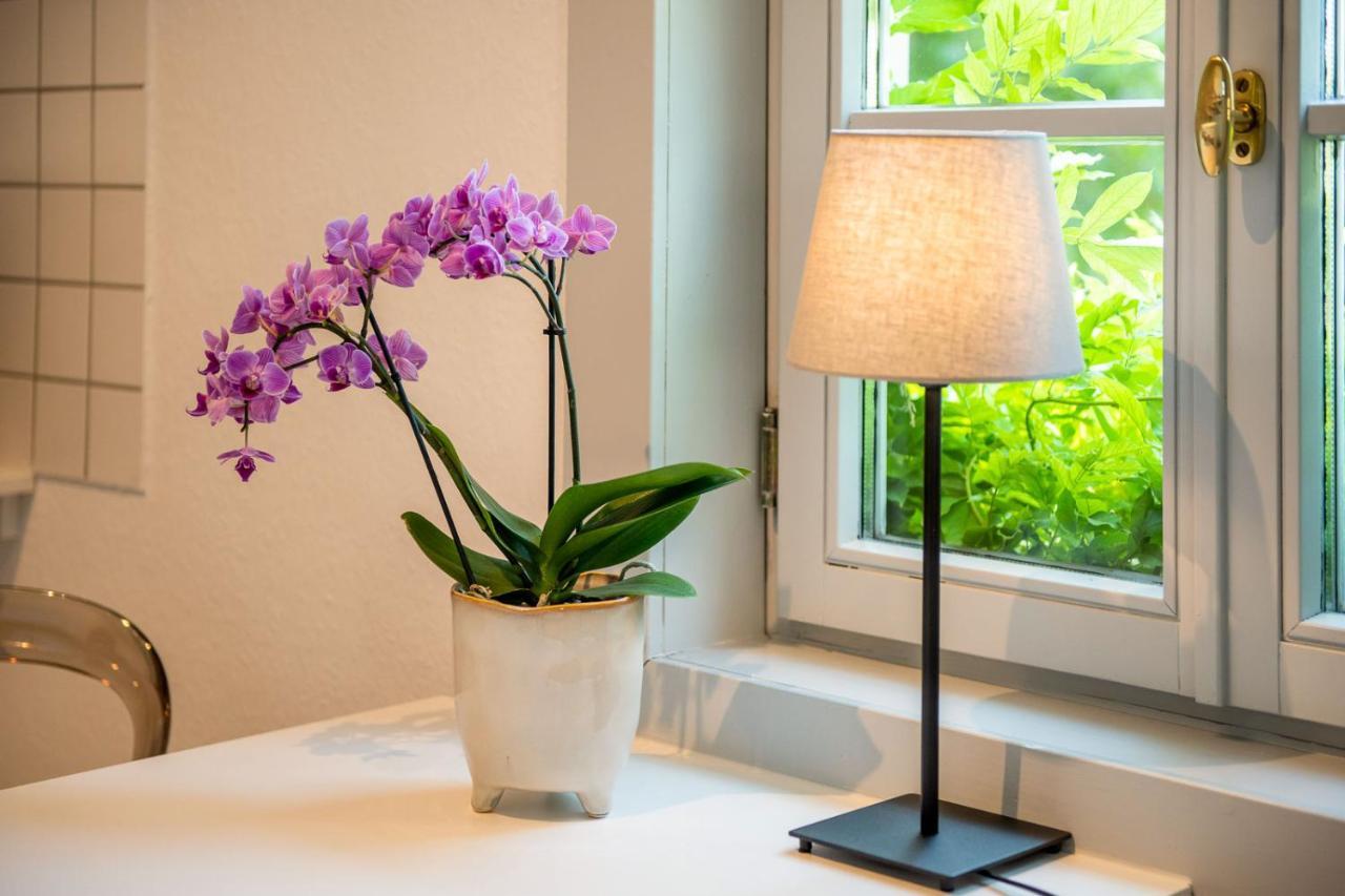 Ferienwohnung Am Dom Naumburg  Exteriör bild